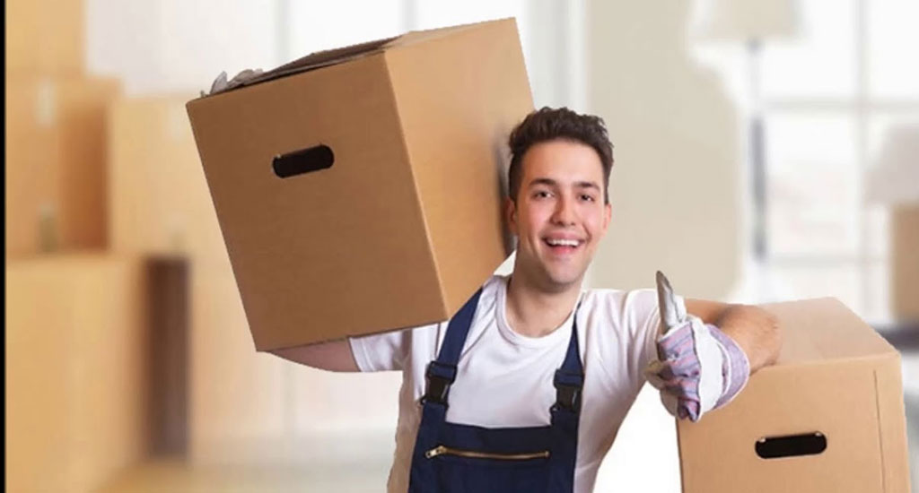 packers and movers image